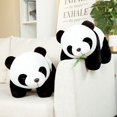 thumbnail image 2 of Muñeco de peluche de oso panda de bambú de 20 cm, bonito muñeco de dibujos animados kawaii, regalos de Navidad, 2 of 4