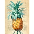 thumbnail image 2 of Dellal, Remy 19x24 Gold Ornate Wood Framed with Double Matting Museum Art Print Titled - Pineapple- After Redoute, 2 of 4