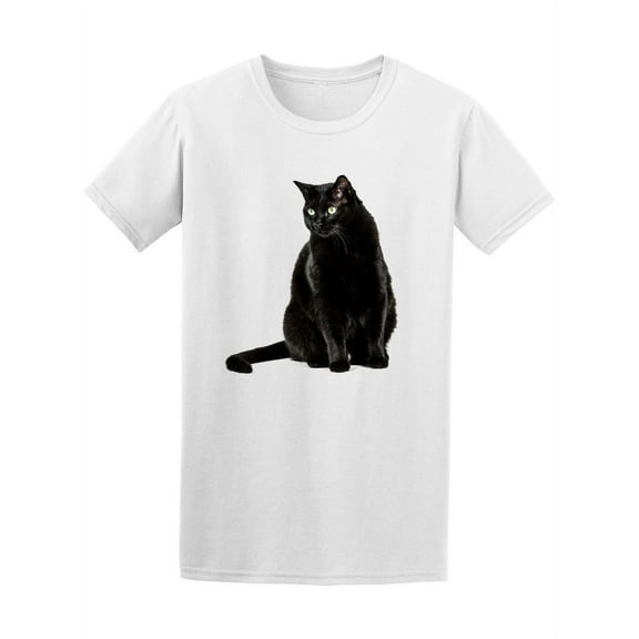 Beautiful Fat Black Cat T-Shirt Men -Image by Shutterstock, Male 3X-Large