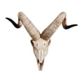 thumbnail image 2 of Skull Sheep Head Wall Sculpture 3D Animal Longhorn Skull Head for Room , D 42x34x16cm, 2 of 8