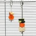 thumbnail image 4 of Bird Food Holder Skewer Set - Stainless Steel Foraging Toy for Parrots, Small Animals - Hanging Fruit/Vegetable Stick Feeder, 4 of 4