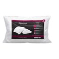 thumbnail image 2 of Beautyrest Black Bed Pillows, 400 TC Cover, Standard Queen Size - 2-Pack, Machine Washable, 2 of 2