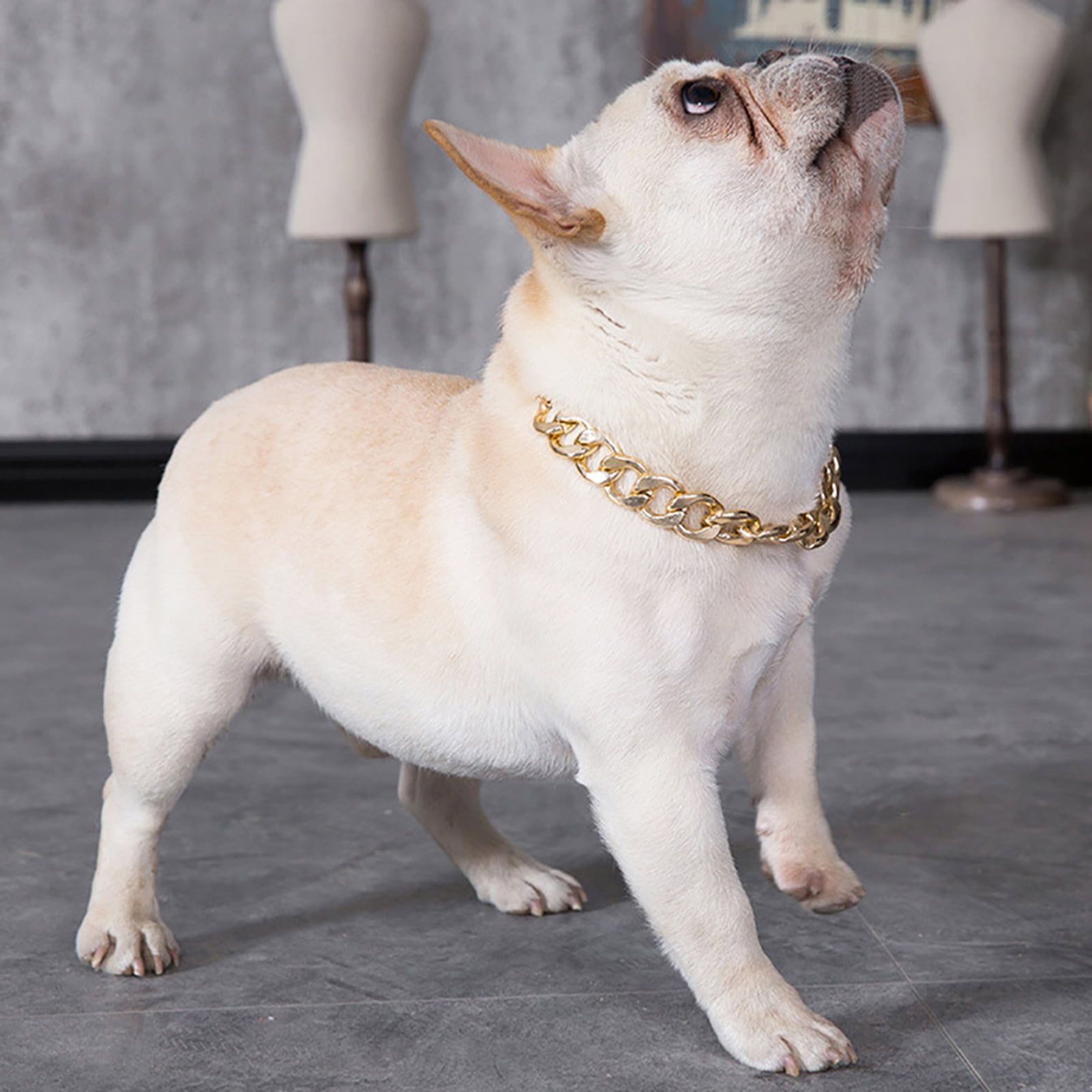 Pet Dog Necklace Collars Thick 24k Gold Chain Mens Plated Plastic  Identified Safety Collar Puppy Dogs Supplies Dog Accessories From  Unclouded01, $12.33 | DHgate.Com