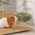thumbnail image 6 of Guinea Pig Hay Feeder with Durable Iron Wire Rack, Rabbit Hay Feeder for Small Animal Cage Organization, Modern Pet Supply Gift White 1-Pack, 6 of 6