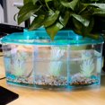 thumbnail image 2 of LED Light Acrylique Trois Splits Betta Fish Bowl Triple Bow Fighting Isolation Breed Box pour Aquarium, 2 of 4