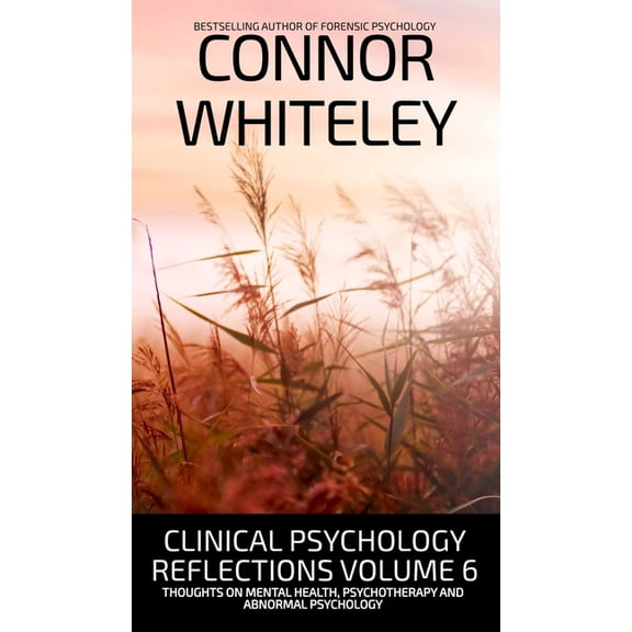 Introductory Clinical Psychology Reflections Volume 6: Thoughts On Mental Health, Psychotherapy and Abnormal Psychology, Book 35, (Hardcover)