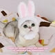 thumbnail image 5 of Gorros Con Orejas De Conejito Gorro Lindo Para Gato Con Forro Cálido Accesorio Divertido Para Disfraz De Fiesta De Pascua Gorros Para Gatos Perros Pequeños Cachorros Accesorios, 5 of 7