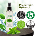thumbnail image 6 of GreenHealth Peppermint Hydrosol 1 Gallon Clear Plastic Jug with Cap, 6 of 10
