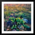 thumbnail image 2 of Art.com Prickly Pear and Saguaro Cacti, Santa Catalina Mountains, Oro Valley, Arizona, USA Photographic Print, Black Frame Wall Art, 38" x 38", 2 of 5