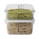 thumbnail image 2 of Recipiente de almacenamiento de alimentos Rubbermaid transparente de 4 litros, paquete de 2, 2 of 7