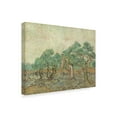 thumbnail image 2 of Trademark Fine Art 'The Olive Orchard' Canvas Art by Vincent Van Gogh, 2 of 3