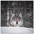 thumbnail image 1 of Picture-Tiles.com: Wolf Ceramic Tile Wall Mural WAL501233-44L. 32"W x 32"H using (16) 8" x 8" Ceramic Tiles-Satin Finish, 1 of 3