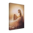 thumbnail image 2 of Trademark Fine Art 'Angelic' Canvas Art by Kirk Reinert, 2 of 3