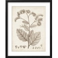 thumbnail image 2 of Art.com Antique Sepia Botanicals IV Art Print by 0 Unknown, Black Frame Wall Art, 17" x 21", 2 of 5