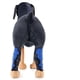 thumbnail image 3 of (Blue M)2 Pack Dog Ankle Joint Protector Bandages - 1 Pair Dog Bandage - Dog Knee Brace - Dog Leg Sleeves, 3 of 5