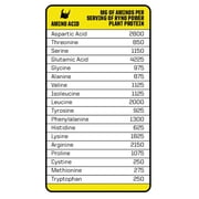 PROTEIN Premium PLANT-BASED Powder