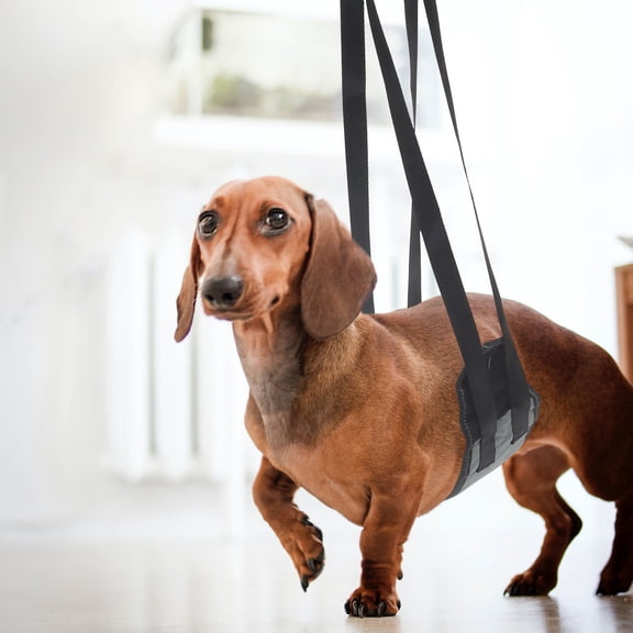WESIEVYA Outdoor Pet Harness Black Oxford Cloth for Dog Lifting and Rear Support