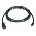 thumbnail image 1 of Black Box - Câble USB - USB (m) vers mini-USB Type B (m) - USB 2.0 - 6 Pi, 1 of 1