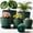 Dark Green, variant on 3 Pack 11 Inch Plant Pots Lightweight Planters with Drainage Holes,Durable Indoor & Outdoor Flower Pots for Garden,Patio & Home Decor(Pottery Red)