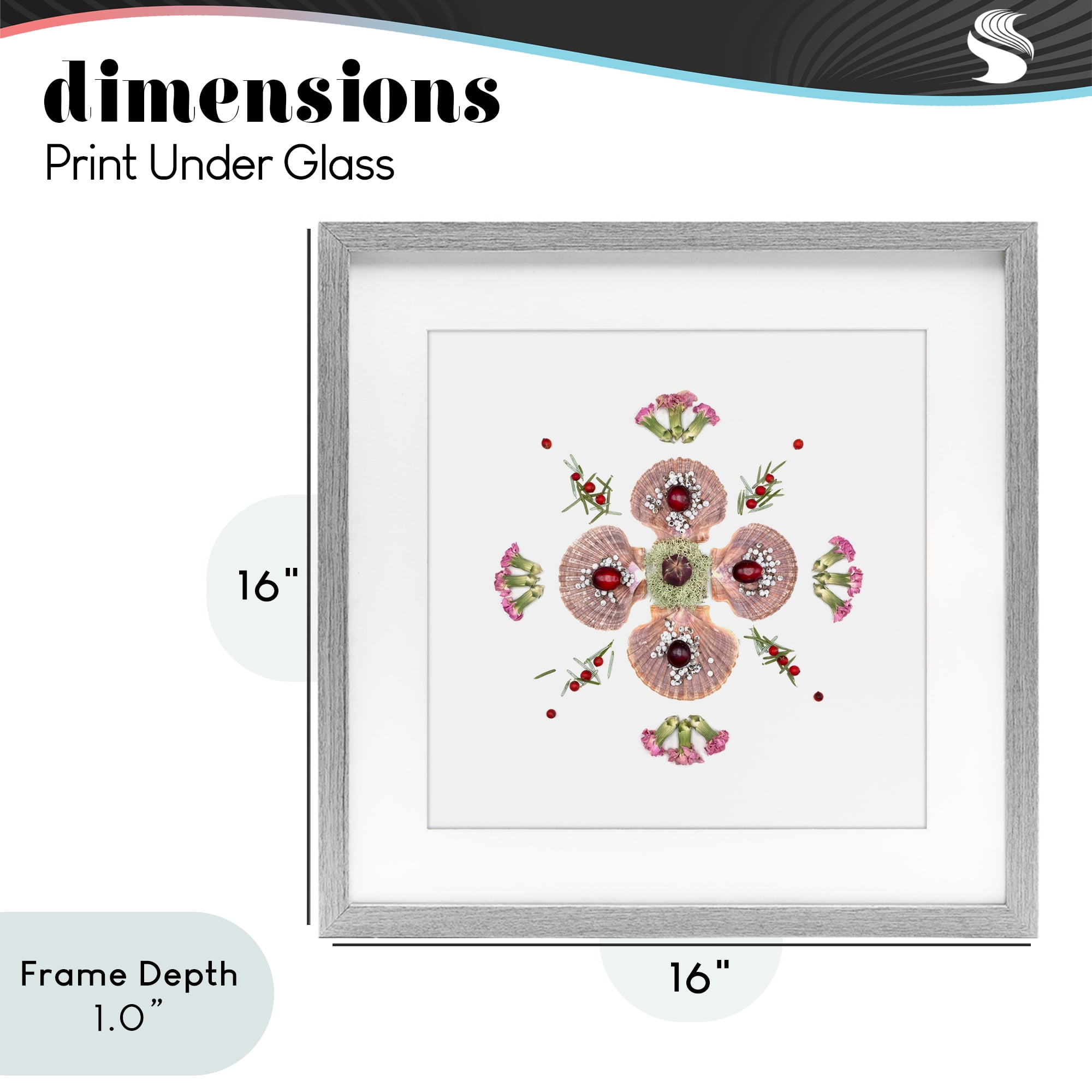 Stupell Industries Clam Shells & Botanicals Pattern Gray Framed Print Under Glass, design by Beth Adoette