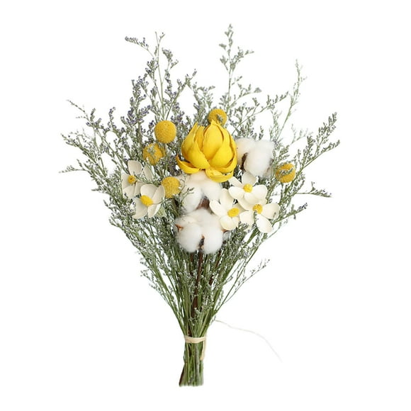DOLITY E Dried Flower Branch Cotton Eucalyptus Tree Daisy Stems for Farmhouse
