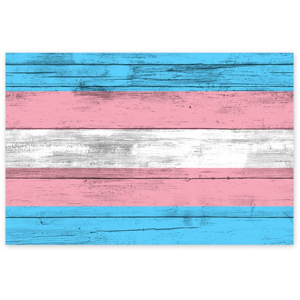 Awkward Styles Lgbtq Flag Room Wall Art Transgender Pride Flag Poster Decor Transgender Flag Illustration Pink Poster Decals Room Decor Gay Room Decorations Gay Flag Room Wall Decor Blue Decor Walmart Com