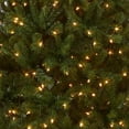 thumbnail image 2 of Árbol de Navidad, National Tree Company, North Valley Spruce, 7 pies, 2 of 5