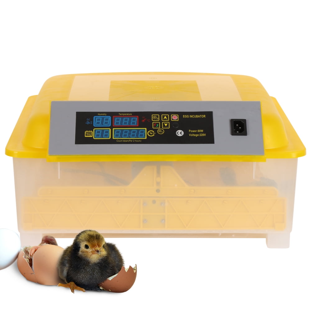 Automatic 48Eggs Digital Clear Egg Incubator Hatcher Turning Temperature Control 