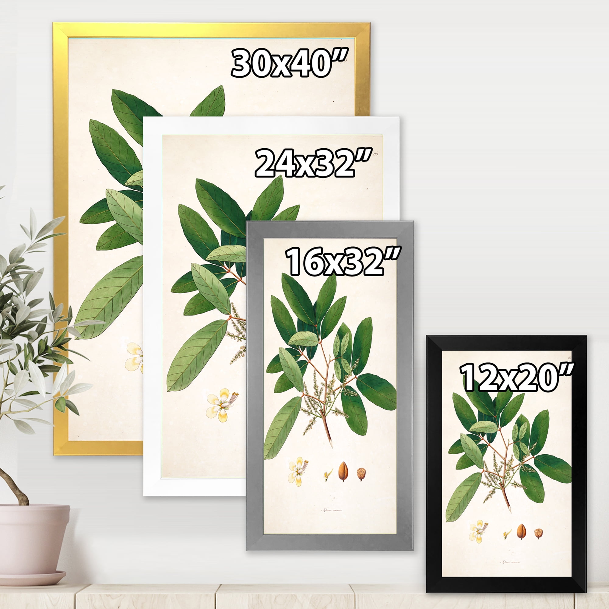 Designart 'Ancient Botanicals II' Farmhouse Framed Art Print