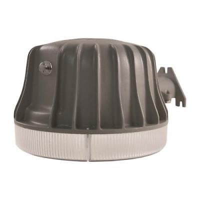 Keystone Plastic Engine Belt 9 1, Single Belt