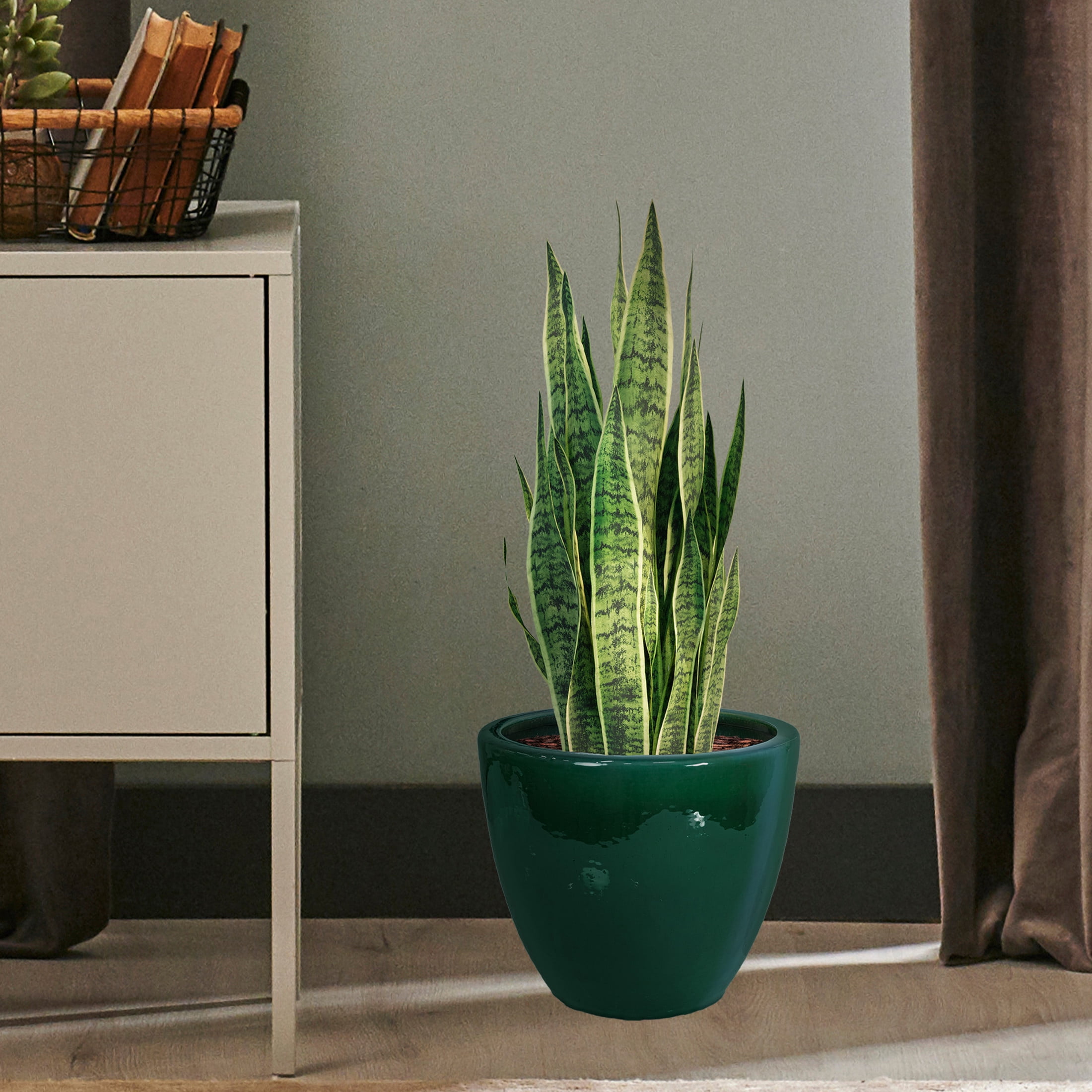 Sunnydaze Resort 15" x 15" x 11.25" H Round Dark Green Ceramic Solid Plant Pot