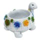 thumbnail image 1 of Maceta para Plantas BuyWeek Tortuga Duradera y Bonita Maceta para Suculentas, 1 of 14