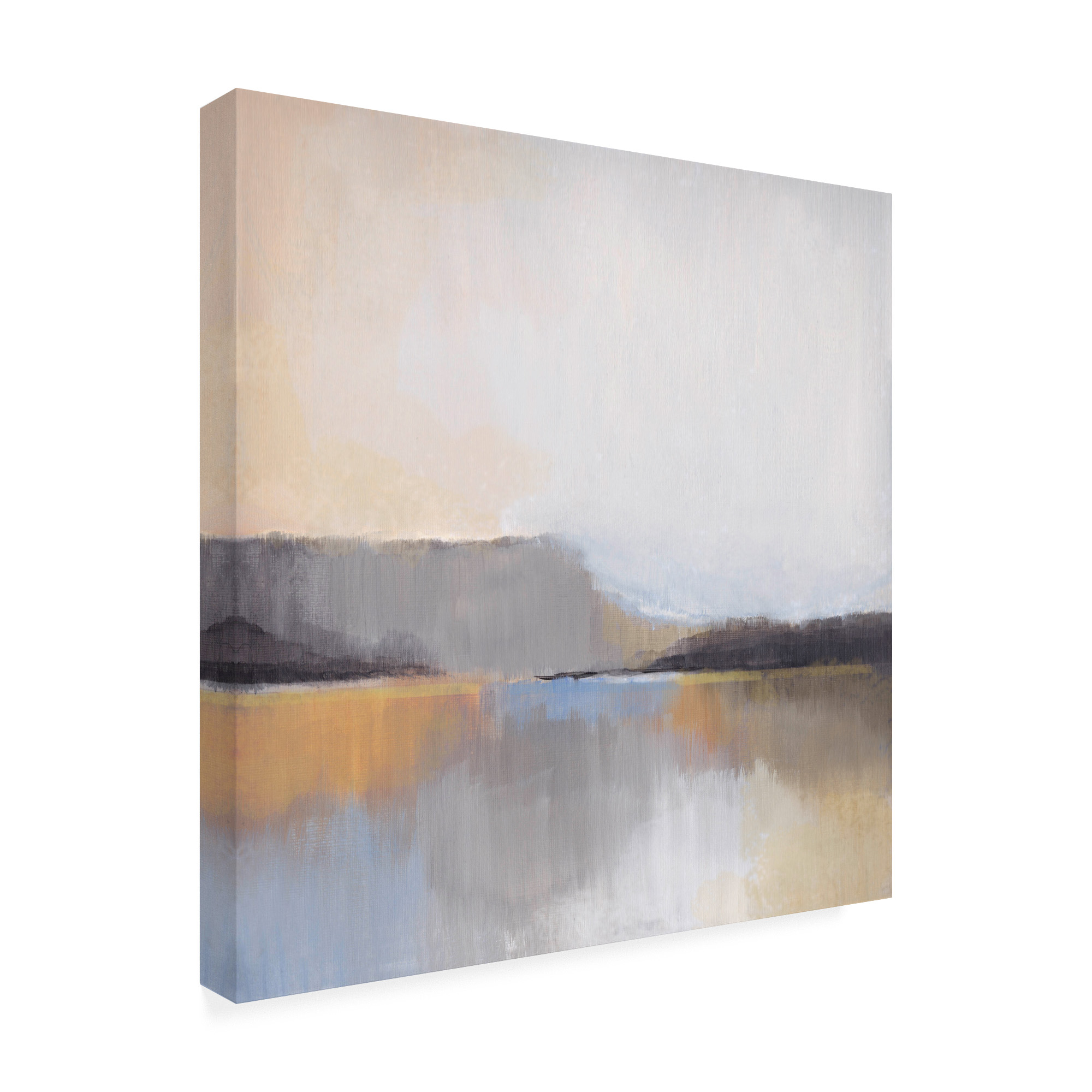 Trademark Fine Art 'Grey Dunes Beige I' Canvas Art by Alison Jerry