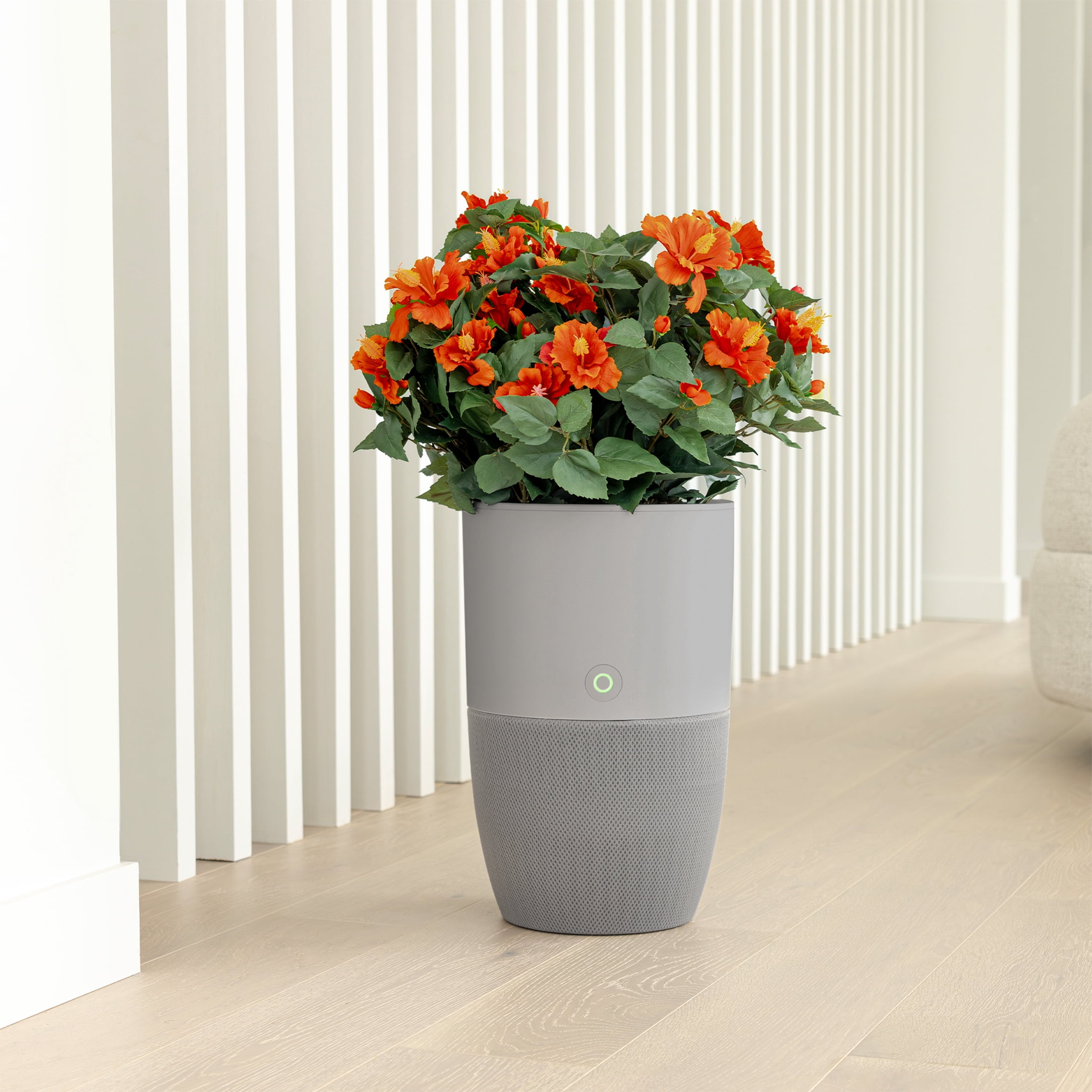 Dupray Bloom™ Smart Air Purifier, Gray Special Edition with Medical-Grade HEPA-13 Filter and Washable Pre-Filter