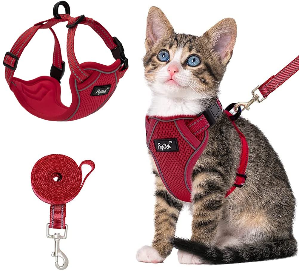 harness and leash set for cats