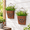 Rusty, variant on Gray Galvanized Metal Wall Mount Planter Set of 2 Rustic Hanging Pocket Flower Pots