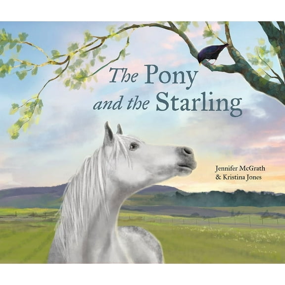 The Pony and the Starling, (Hardcover)