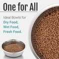 thumbnail image 5 of OFEFE 2-Pack Non-Slip Stainless Steel Dog & Cat Bowls - 2 Cup Capacity Pet Food & Water Bowls with Silicone Base for Small Pets Under 20lbs (5.5" Diameter, Metal & Silicone), 5 of 6