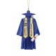 thumbnail image 1 of Adorno conmemorativo de graduación para colgar, ideal para fiestas, celebraciones escolares y recuerdos, 1 of 2