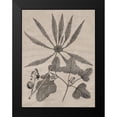 thumbnail image 2 of Vision Studio 19x24 Black Modern Framed Museum Art Print Titled - Eloquent Leaves III, 2 of 5