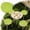 C, variant on Outdoor Seat Cushion Round Chair Cushion with Removable Covers Ideal for Home and Comfort Suitable for Various Furniture Types Easy and Versatile Use