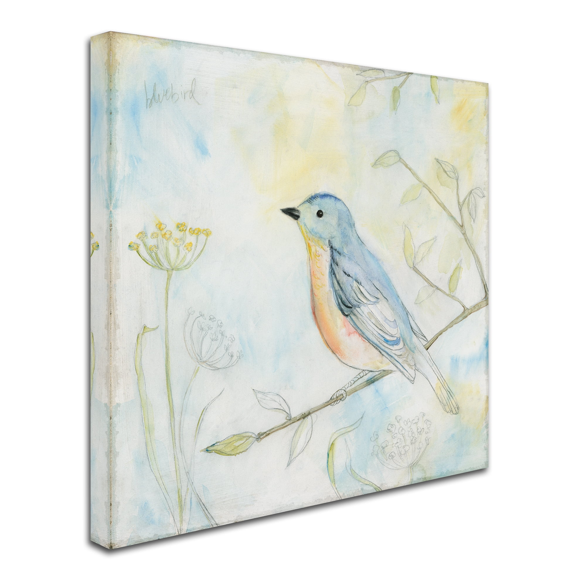 Trademark Fine Art 'Sketched Songbird II' Canvas Art by Sue Schlabach