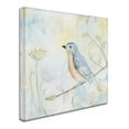 thumbnail image 2 of Trademark Fine Art 'Sketched Songbird II' Canvas Art by Sue Schlabach, 2 of 3
