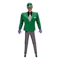 thumbnail image 3 of DC Direct - Batman: The Animated Series The Riddler 6in Action Figure - Build-A Wave 2, 3 of 5