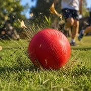 Playground Ball, High-Bounce Durable Rubber Dodge Ball For Grass Field Outdoor Team Back To School Kids Sports Practice Playground Activities Backyard Play Recess Fun