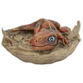thumbnail image 1 of Dinosaur Model Toy, Dinosaur Figure Plastic Dinosaurs  For Home Kindergarten 1#,2#,3#,4#,5#,6#, 1 of 8