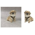 thumbnail image 1 of Zack & Zoey Zebra or Leopard Print Soft Plush Dog Harness Durable Reliable Walk Safety(XSmall Leopard Print), 1 of 1