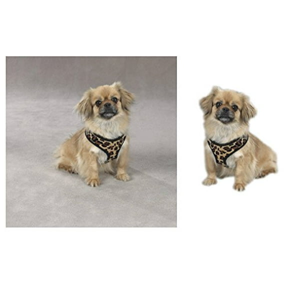 Zack & Zoey Harnais pour Chien en Peluche Douce à Imprimé Zèbre Ou Léopard Durable Fiable pour la Marche Sécurité (Imprimé Léopard Moyen)