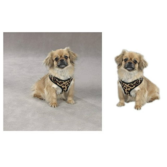 Zack & Zoey Zebra or Leopard Print Soft Plush Dog Harness Durable Reliable Walk Safety(Small Leopard Print)