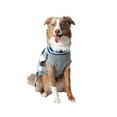 thumbnail image 5 of Vibrant Life Winter Dog Clothes Mama's Boy Blue Sweater, Large, 5 of 6